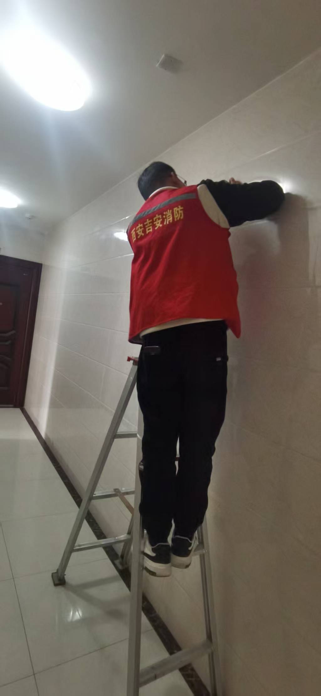 3f54bc6157547f68c1fc538415ed221