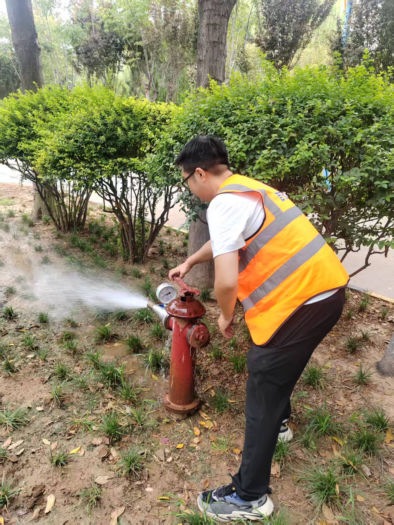 8f50a752d35d21cdfce78c033ae7cd4