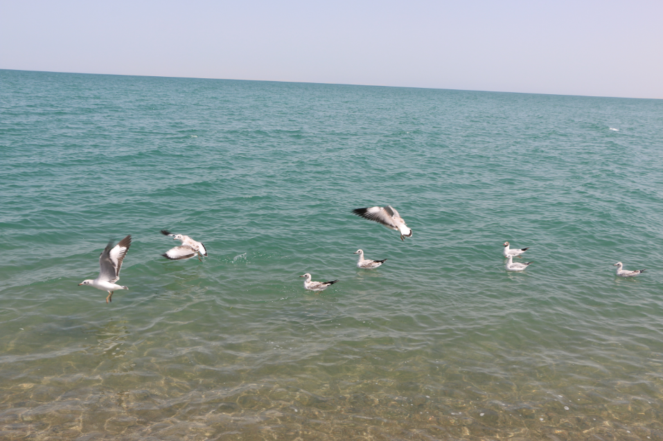 a08bc16e84192b55eaaa5aa9d5bd81a